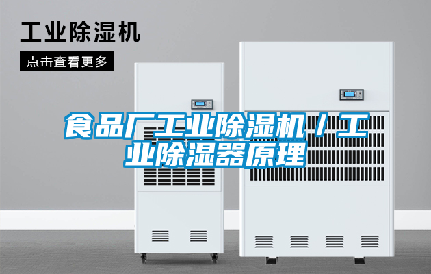 食品廠(chǎng)工業(yè)除濕機／工業(yè)除濕器原理