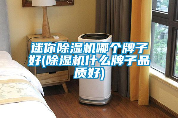 迷你除濕機哪個(gè)牌子好(除濕機什么牌子品質(zhì)好)