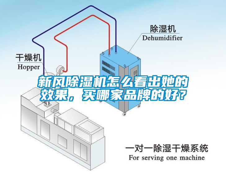 新風(fēng)除濕機怎么看出她的效果，買(mǎi)哪家品牌的好？