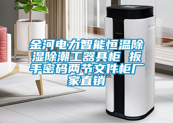 金河電力智能恒溫除濕除潮工器具柜 扳手密碼兩節文件柜廠(chǎng)家直銷(xiāo)