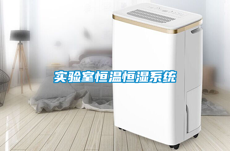實(shí)驗室恒溫恒濕系統