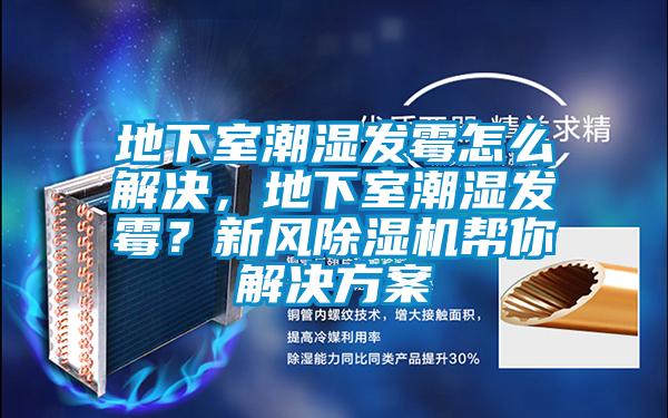 地下室潮濕發(fā)霉怎么解決，地下室潮濕發(fā)霉？新風(fēng)除濕機幫你解決方案