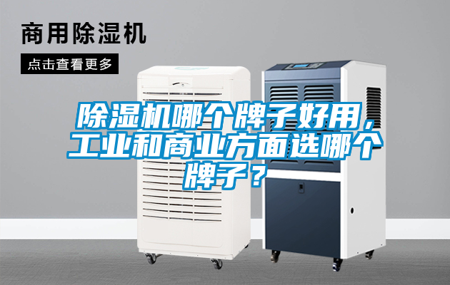 除濕機哪個(gè)牌子好用，工業(yè)和商業(yè)方面選哪個(gè)牌子？