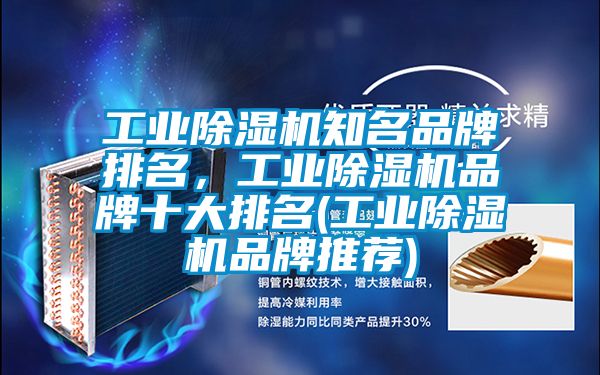 工業(yè)除濕機知名品牌排名，工業(yè)除濕機品牌十大排名(工業(yè)除濕機品牌推薦)