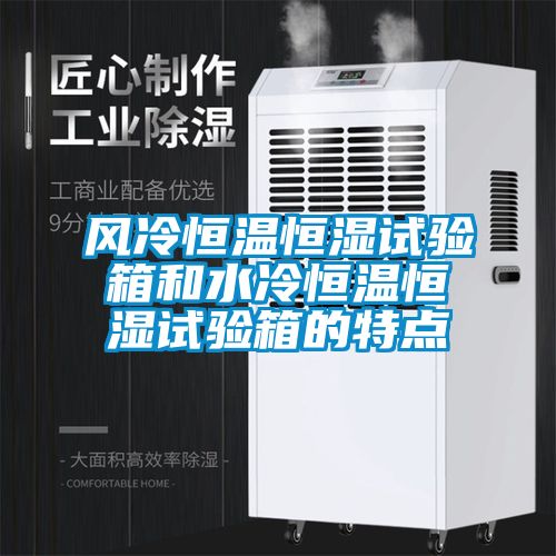 風(fēng)冷恒溫恒濕試驗箱和水冷恒溫恒濕試驗箱的特點(diǎn)