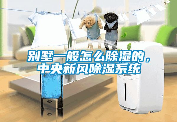 別墅一般怎么除濕的，中央新風(fēng)除濕系統