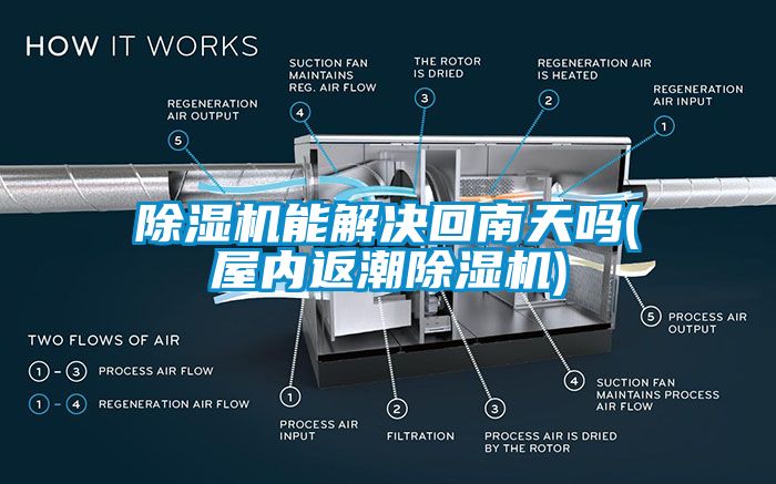 除濕機能解決回南天嗎(屋內返潮除濕機)