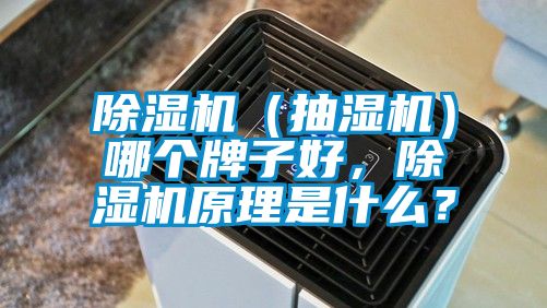 除濕機（抽濕機）哪個(gè)牌子好，除濕機原理是什么？
