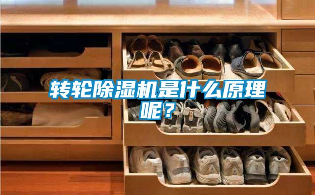 轉輪除濕機是什么原理呢？