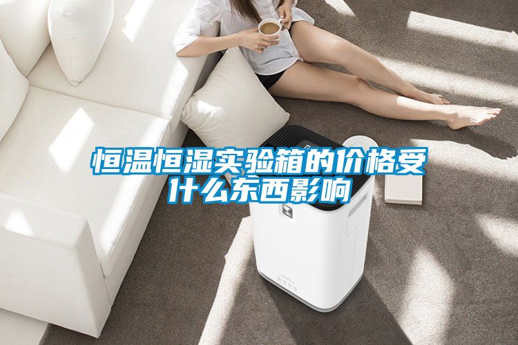 恒溫恒濕實(shí)驗箱的價(jià)格受什么東西影響