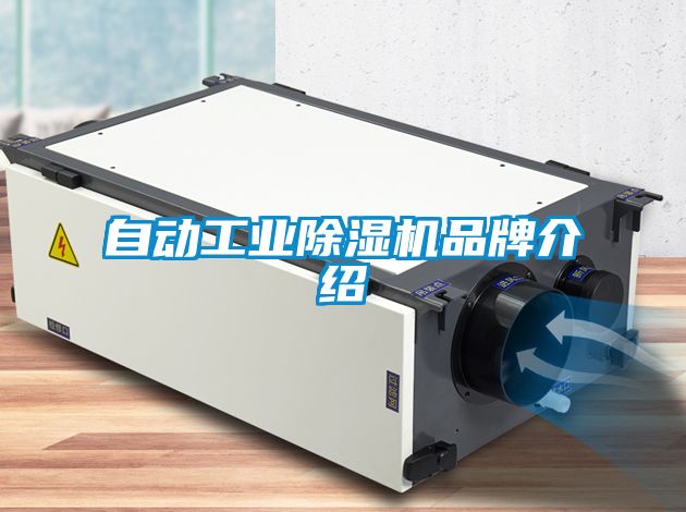 自動(dòng)工業(yè)除濕機品牌介紹