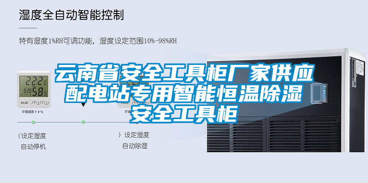 云南省安全工具柜廠(chǎng)家供應配電站專(zhuān)用智能恒溫除濕安全工具柜