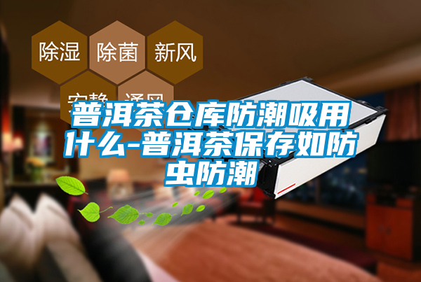 普洱茶倉庫防潮吸用什么-普洱茶保存如防蟲(chóng)防潮