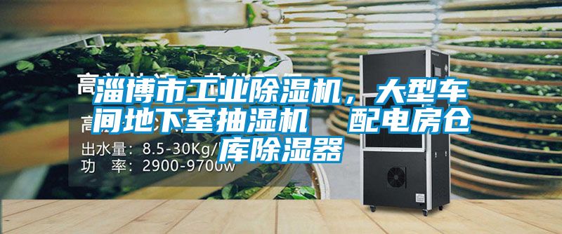 淄博市工業(yè)除濕機，大型車(chē)間地下室抽濕機  配電房倉庫除濕器