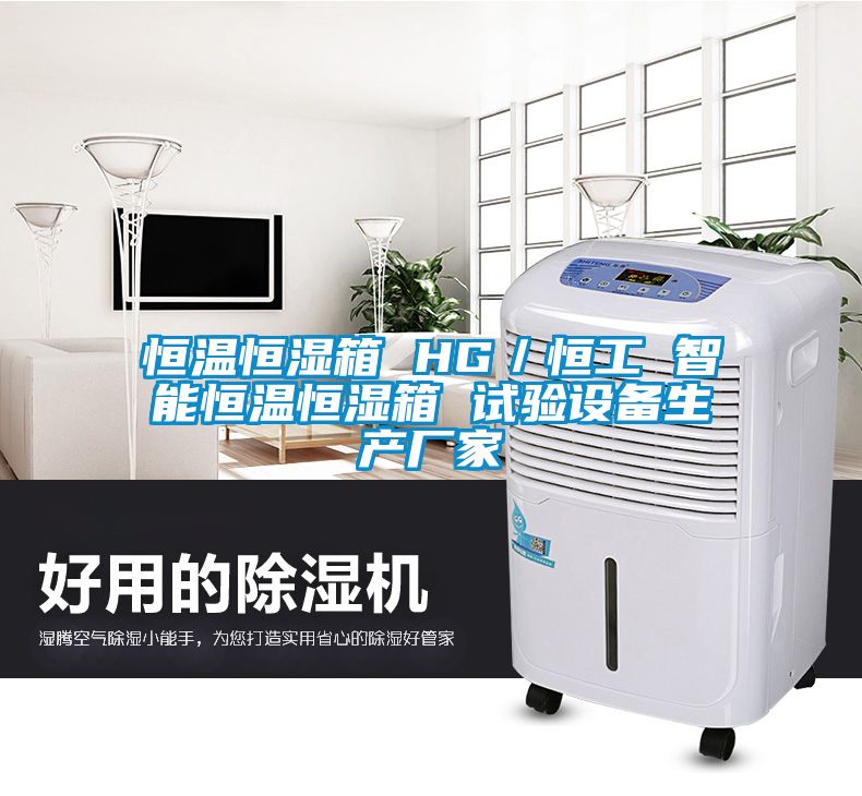 恒溫恒濕箱 HG／恒工 智能恒溫恒濕箱 試驗設備生產(chǎn)廠(chǎng)家