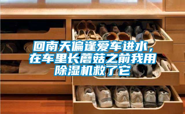 回南天偏逢愛(ài)車(chē)進(jìn)水，在車(chē)里長(cháng)蘑菇之前我用除濕機救了它