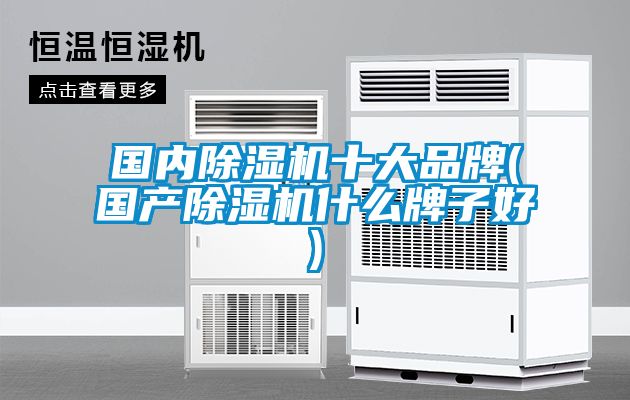 國內除濕機十大品牌(國產(chǎn)除濕機什么牌子好)