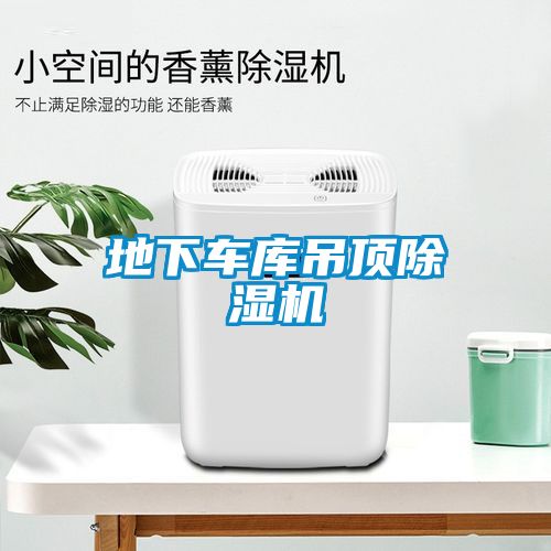 地下車(chē)庫吊頂除濕機