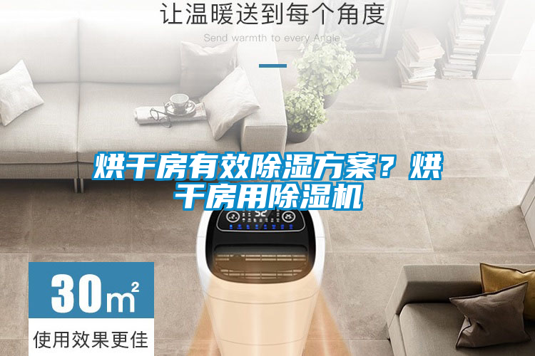 烘干房有效除濕方案？烘干房用除濕機