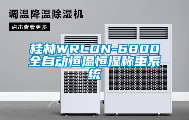 桂林WRLDN-6800全自動(dòng)恒溫恒濕稱(chēng)重系統