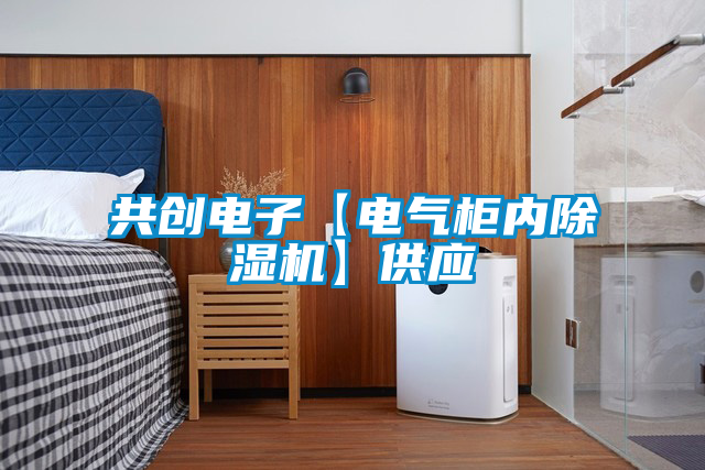 共創(chuàng  )電子【電氣柜內除濕機】供應