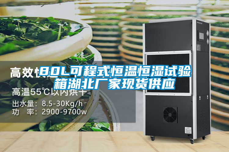 80L可程式恒溫恒濕試驗箱湖北廠(chǎng)家現貨供應