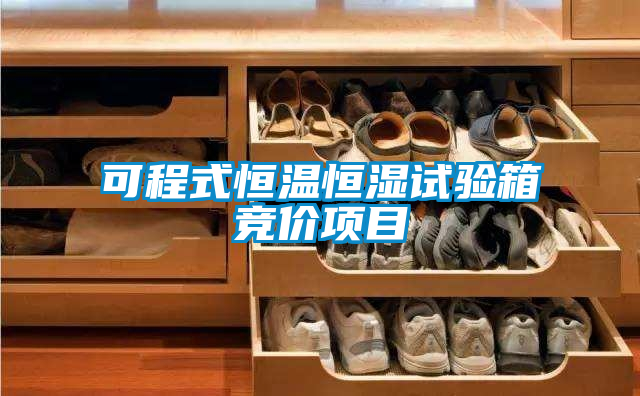 可程式恒溫恒濕試驗箱競價(jià)項目