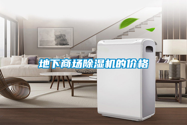 地下商場(chǎng)除濕機的價(jià)格