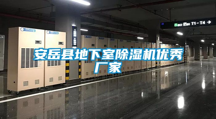 安岳縣地下室除濕機優(yōu)秀廠(chǎng)家
