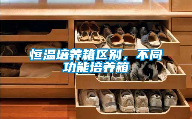 恒溫培養箱區別，不同功能培養箱