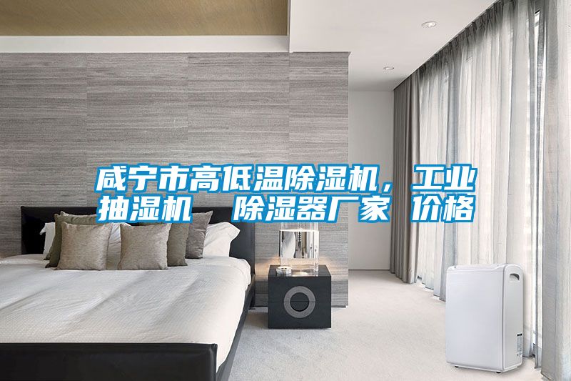 咸寧市高低溫除濕機，工業(yè)抽濕機  除濕器廠(chǎng)家 價(jià)格