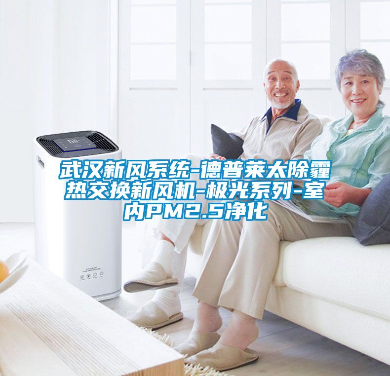 武漢新風(fēng)系統-德普萊太除霾熱交換新風(fēng)機-極光系列-室內PM2.5凈化