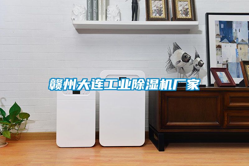 贛州大連工業(yè)除濕機廠(chǎng)家
