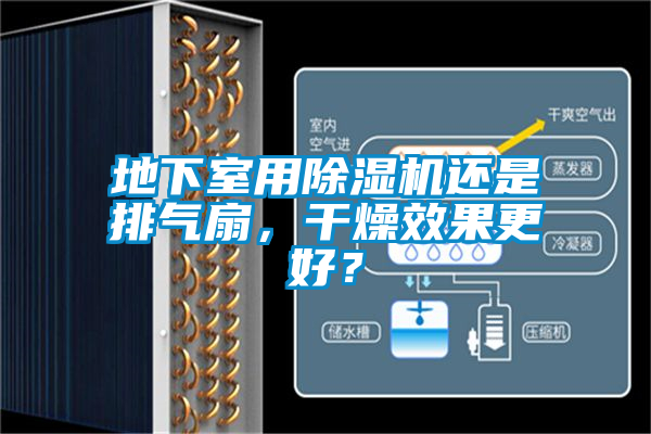 地下室用除濕機還是排氣扇，干燥效果更好？