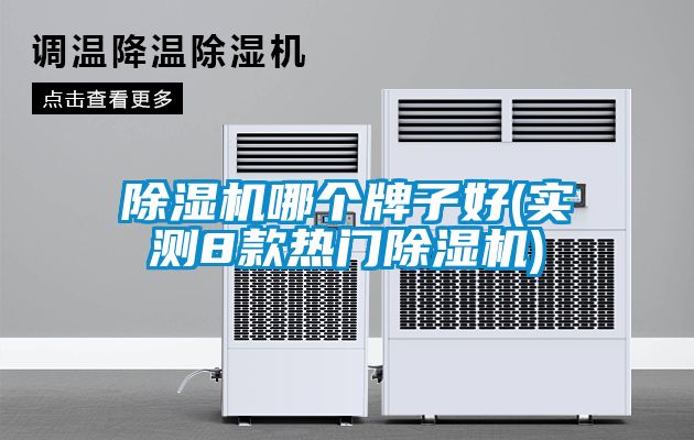 除濕機哪個(gè)牌子好(實(shí)測8款熱門(mén)除濕機)