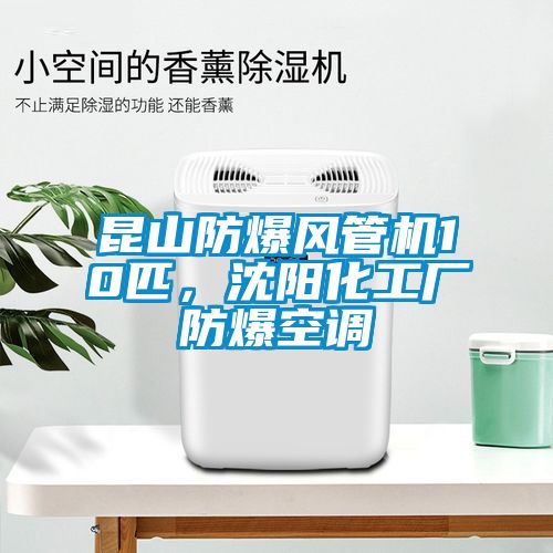 昆山防爆風(fēng)管機10匹，沈陽(yáng)化工廠(chǎng)防爆空調