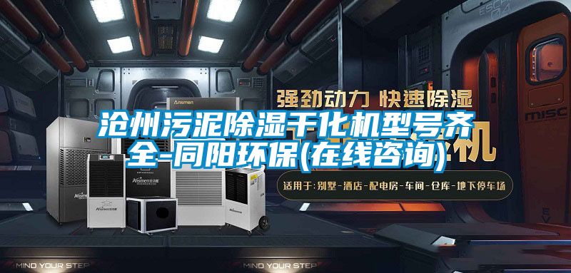 滄州污泥除濕干化機型號齊全-同陽(yáng)環(huán)保(在線(xiàn)咨詢(xún))