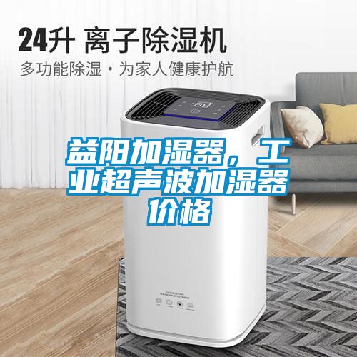 益陽(yáng)加濕器，工業(yè)超聲波加濕器價(jià)格