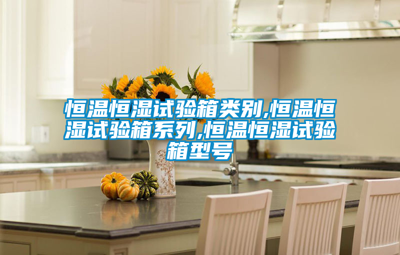 恒溫恒濕試驗箱類(lèi)別,恒溫恒濕試驗箱系列,恒溫恒濕試驗箱型號