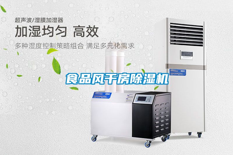 食品風(fēng)干房除濕機