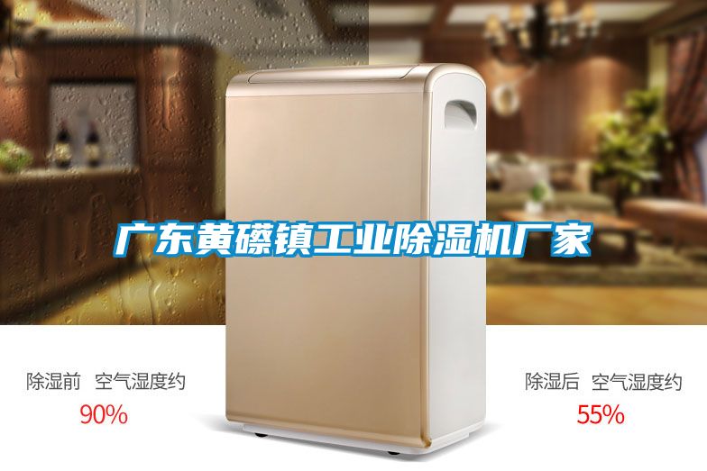 廣東黃礤鎮工業(yè)除濕機廠(chǎng)家