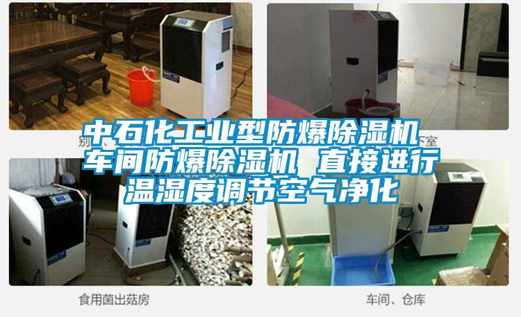 中石化工業(yè)型防爆除濕機 車(chē)間防爆除濕機 直接進(jìn)行溫濕度調節空氣凈化