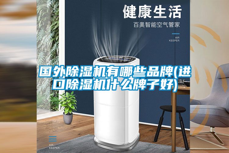 國外除濕機有哪些品牌(進(jìn)口除濕機什么牌子好)