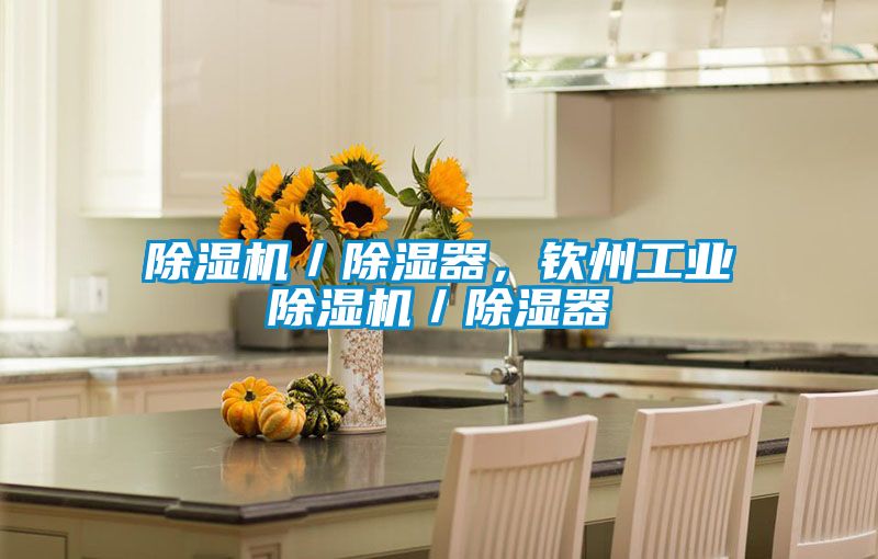 除濕機／除濕器，欽州工業(yè)除濕機／除濕器