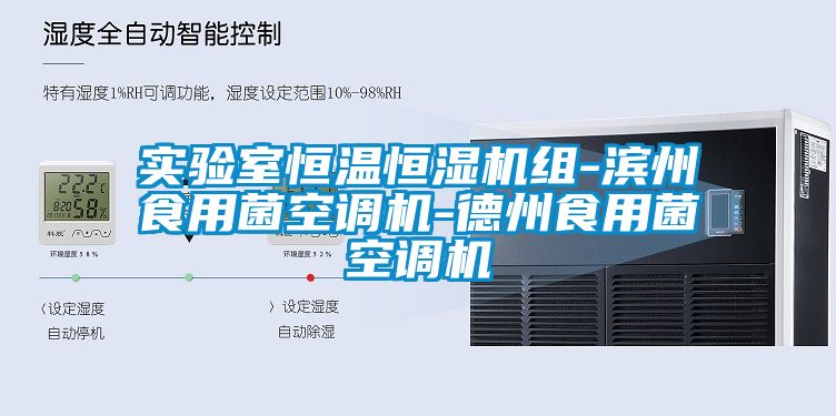 實(shí)驗室恒溫恒濕機組-濱州食用菌空調機-德州食用菌空調機