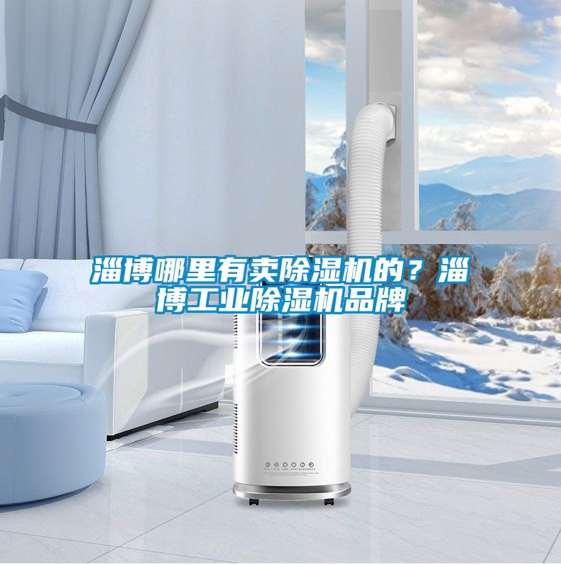 淄博哪里有賣(mài)除濕機的？淄博工業(yè)除濕機品牌