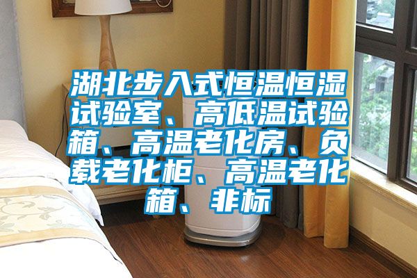 湖北步入式恒溫恒濕試驗室、高低溫試驗箱、高溫老化房、負載老化柜、高溫老化箱、非標