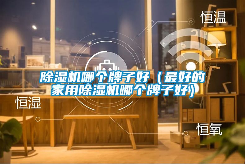 除濕機哪個(gè)牌子好（最好的家用除濕機哪個(gè)牌子好）