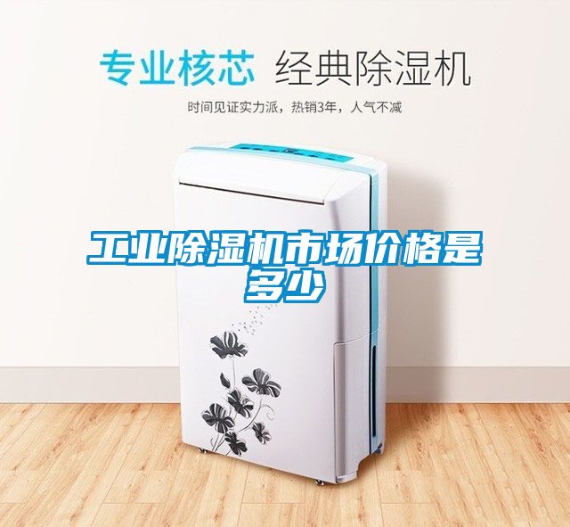 工業(yè)除濕機市場(chǎng)價(jià)格是多少