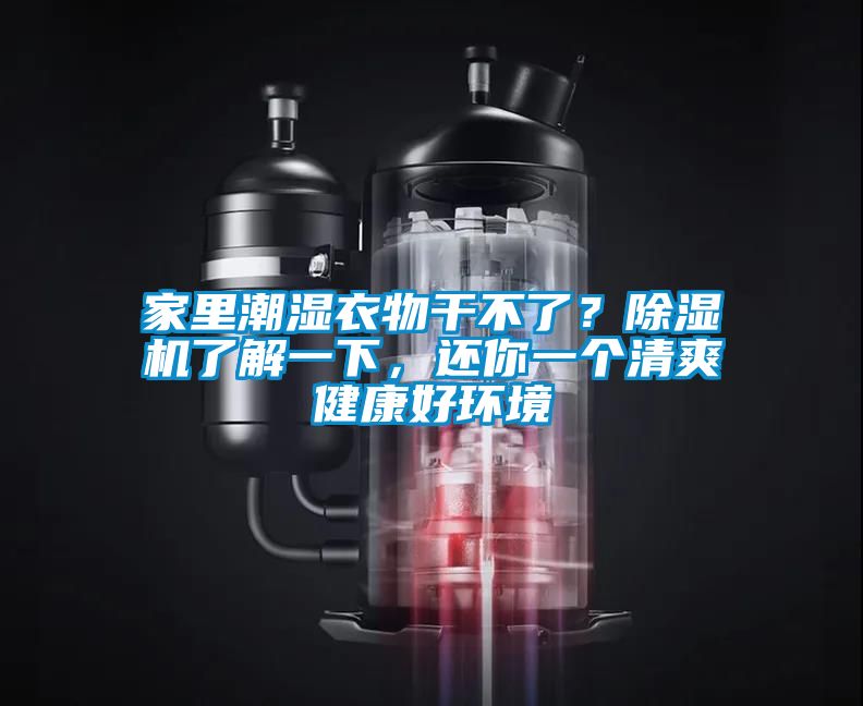 家里潮濕衣物干不了？除濕機了解一下，還你一個(gè)清爽健康好環(huán)境
